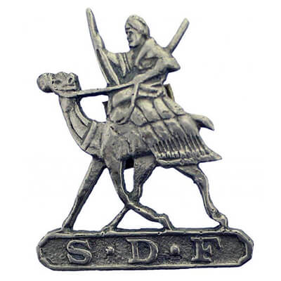Sudan Defence Force