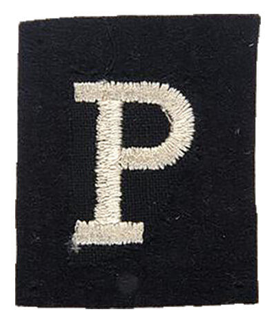 Badge GHQ Liaison Regiment