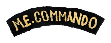 Badge Middle East Commando