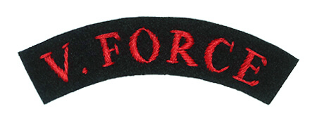 Badge V Force