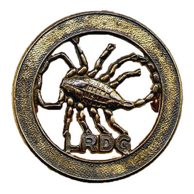 Cap Badge Long Range Desert Group