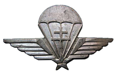 Badge of Commandos de France