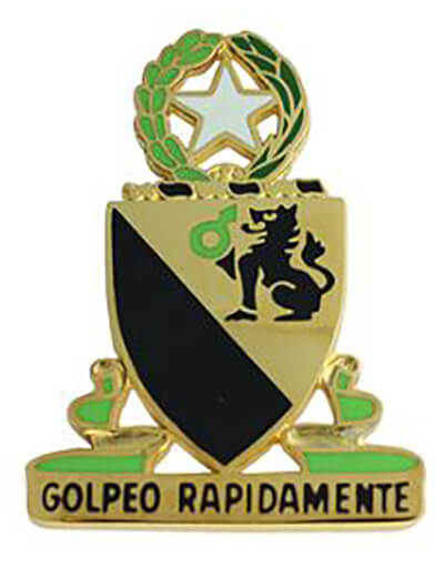 Badge 124th Cavalry Regiment (Special)