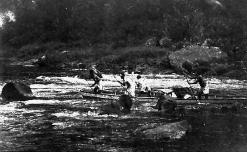 1943, Fiji. Fijians poling a punt over the rapids of the Navua River.