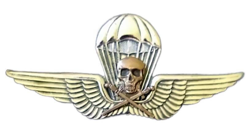 1st Parachute Regiment Badge